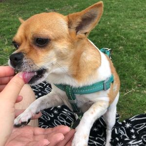 Meet your Posher, Celine